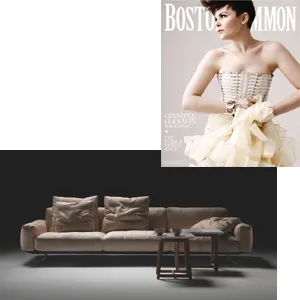 Flexform - Soft Dream sofa by Antonio Citterio - in Boston Common Home & Design 2011 - at Showroom